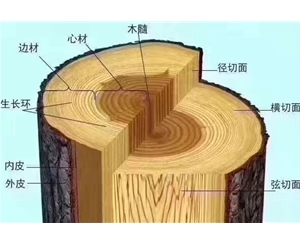 木材结构
