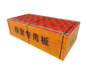 桥梁专用板
