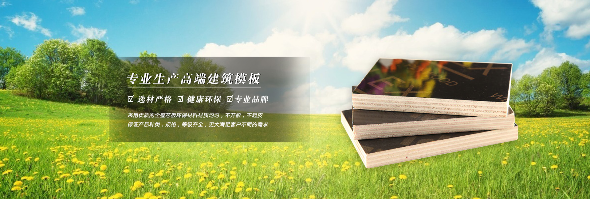 新港模板（武汉）有限公司